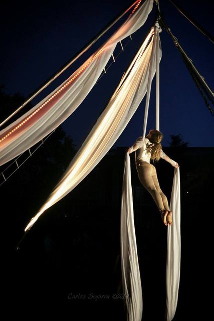 Aerial Silks — photo 2
