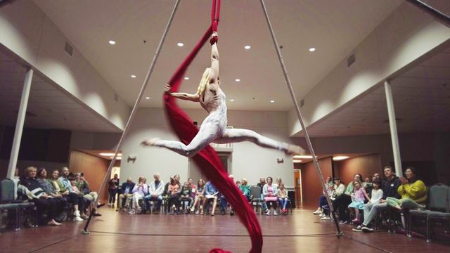 Aerial Silks — photo 8