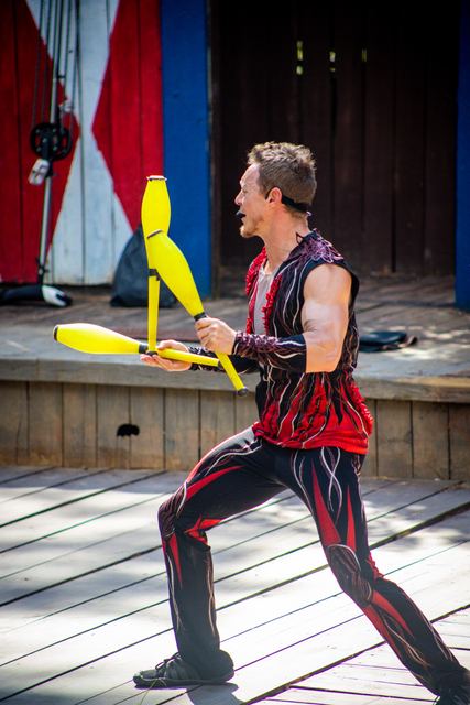 Festivals, Ren Fairs, and Theme Parks — photo 1