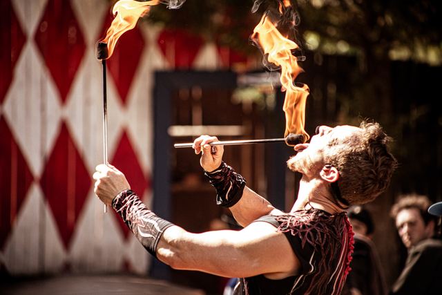 Festivals, Ren Fairs, and Theme Parks — photo 7
