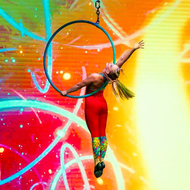 Lyra — photo 2